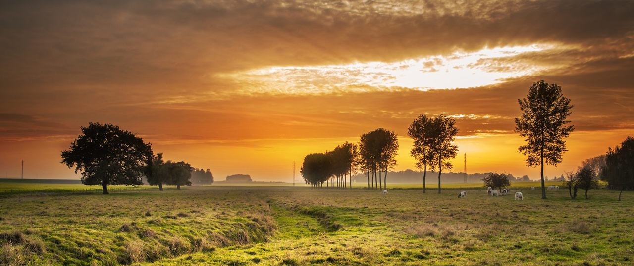 手机号轰炸免费软件