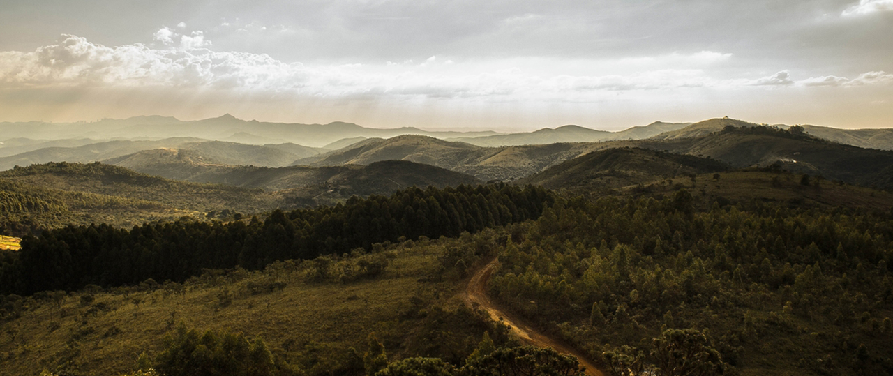 会员服务中心的电话轰在线轰炸平台自助下单
