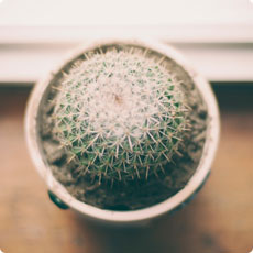 免费轰炸电话软件