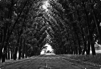 在线接收云短信验证码