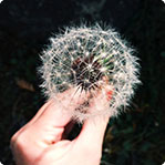 中国移动防电话轰炸